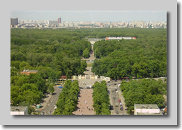 Сокольники сверху